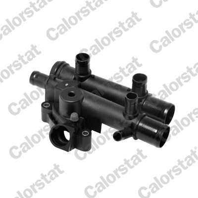 ZTH1017 Termostat Komple 89 C Renault Master 2.5 Dci 1998-2010